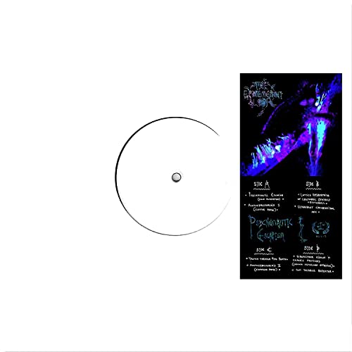 Vinyl record with white label and dark, abstract cover art.