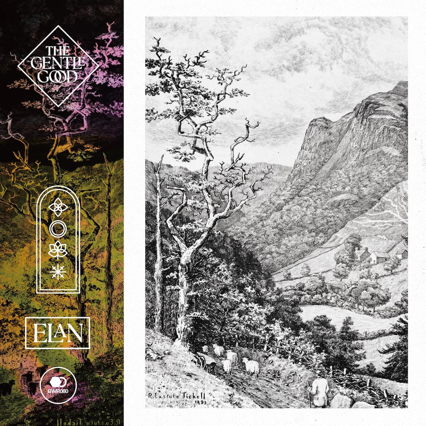 Vinyl album cover: split image of abstract color and a sketched landscape.