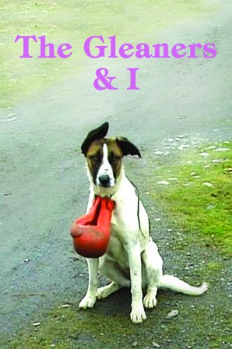 DVD cover featuring a dog holding a red rubber toy in its mouth.
