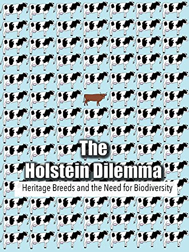 DVD cover with repeating black and white Holstein cows, one red cow.