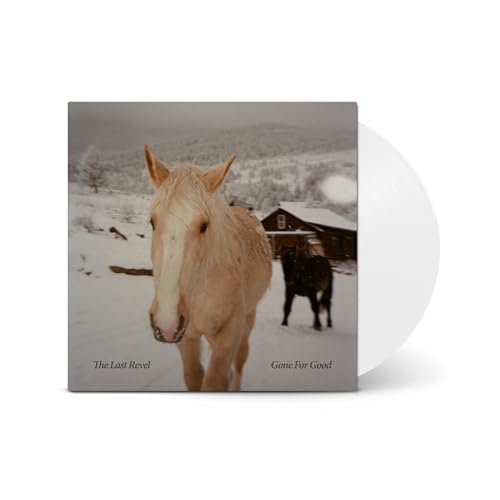 A light-colored horse stands in a snowy field with a dark horse and cabin.