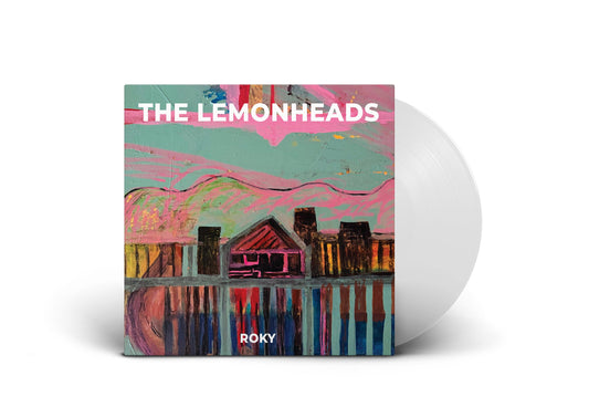 Vinyl record with colorful painted cover featuring a house and mountains.