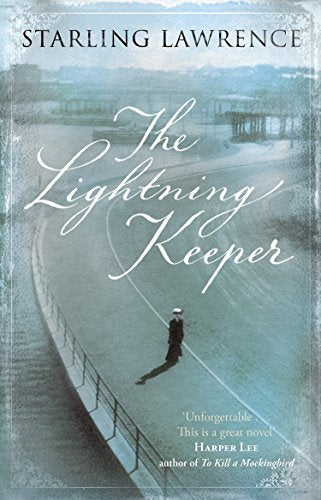 Book cover: lone figure on a bridge, stormy blue and white background.