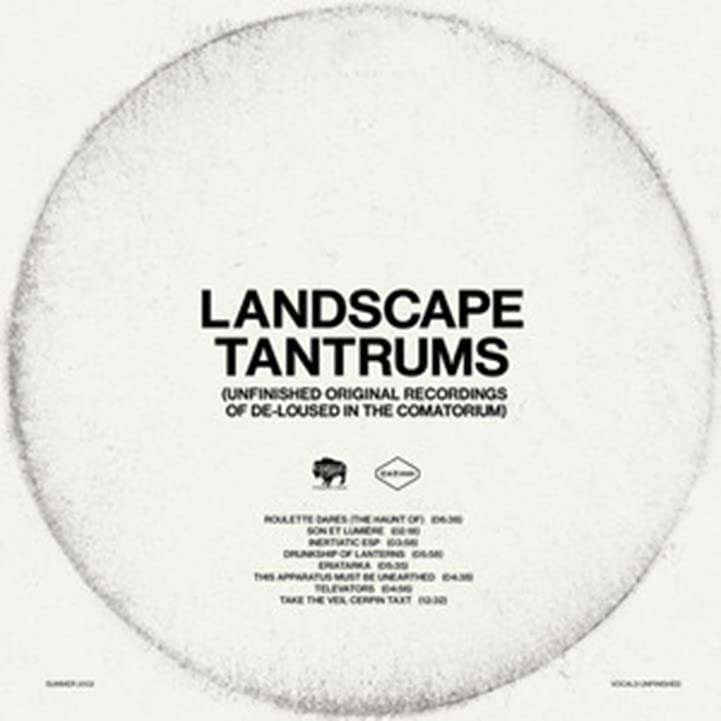 White vinyl record label with black text: "Landscape Tantrums" and tracklist.