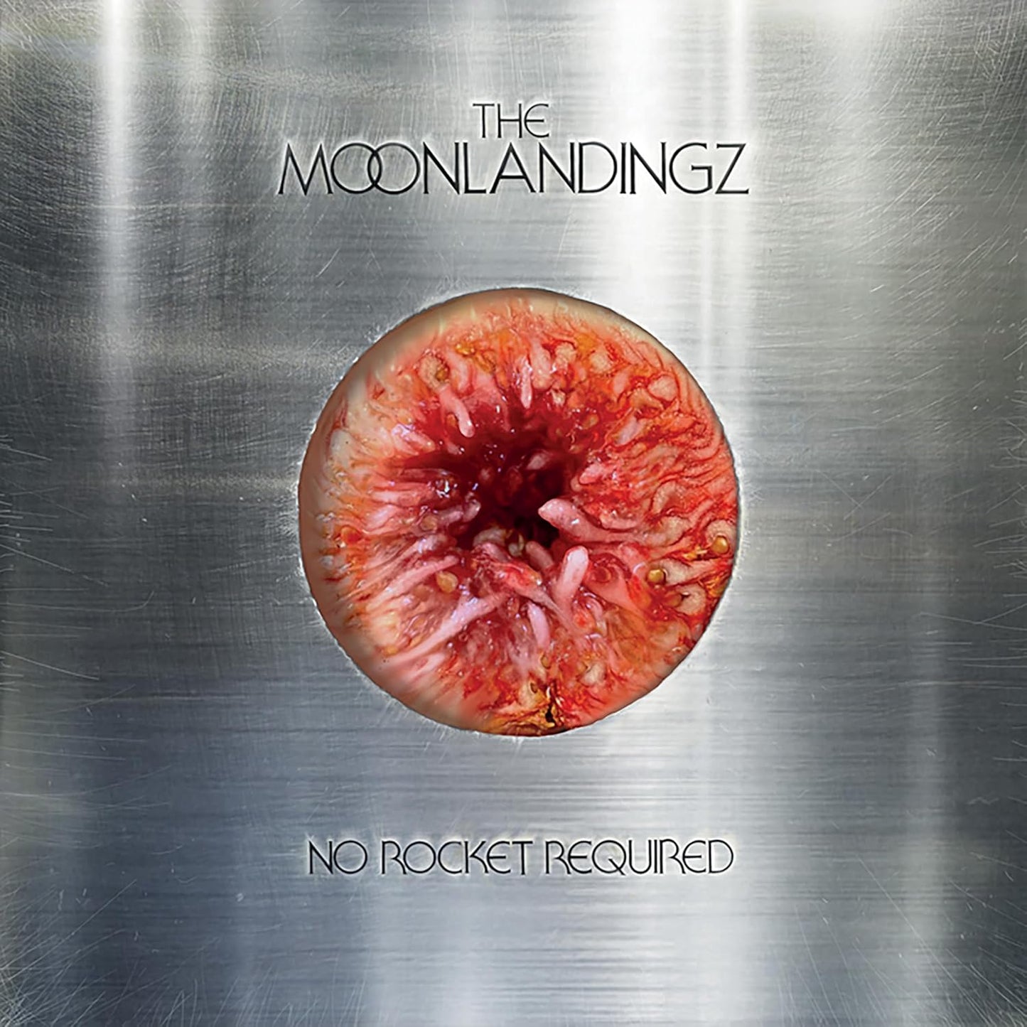 The Moonlandingz - No Rocket Required [CD]