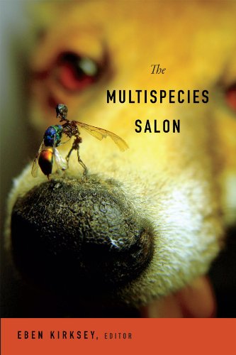 Book cover: a fly on a dog’s nose, yellow and orange background.