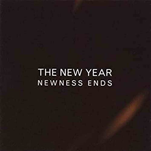 Vinyl record cover with white text: "THE NEW YEAR NEWNESS ENDS".