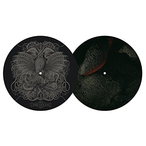 Black vinyl record with detailed octopus illustration and textured landscape.