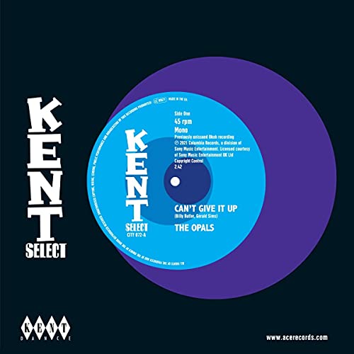 A light blue vinyl record label for The Opals on a dark background.