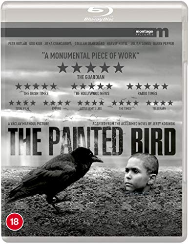 Blu-ray cover for "The Painted Bird" featuring a boy and a raven.