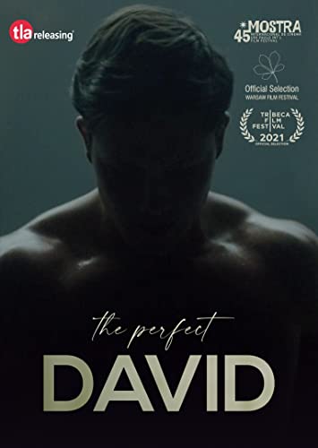 DVD cover for "The Perfect David" featuring a shirtless man’s back.