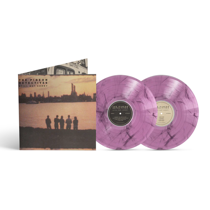 The Pigeon Detectives Still Not Sorry album cover and two violet marbled vinyl records.