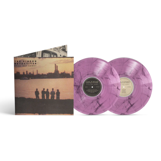 The Pigeon Detectives Still Not Sorry album cover and two violet marbled vinyl records.