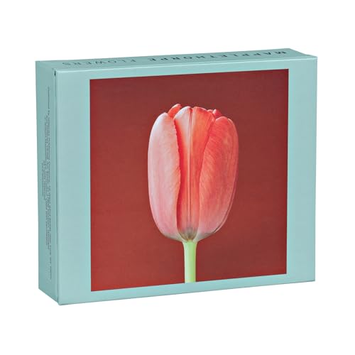Boxed notecards featuring a close-up red and yellow tulip on a red background.