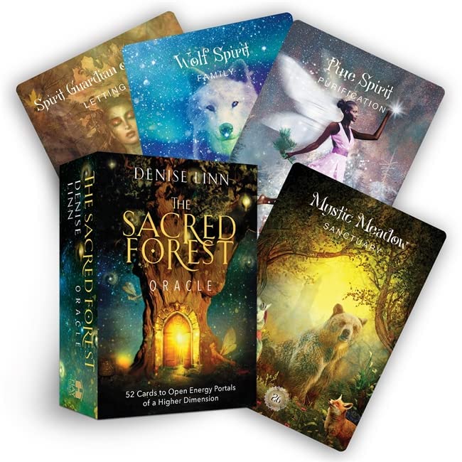 The Sacred Forest Oracle deck box and four illustrated cards featuring mystical forest imagery.
