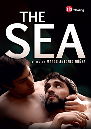 DVD cover for “The Sea” featuring two men in an embrace.