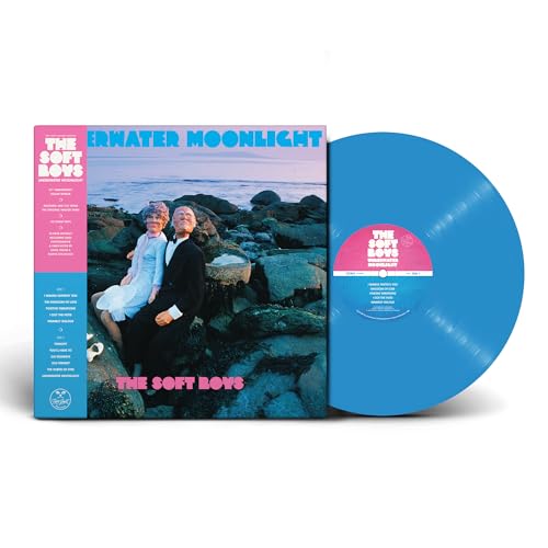 Vinyl record cover and blue disc showing a couple sitting on rocky shoreline.