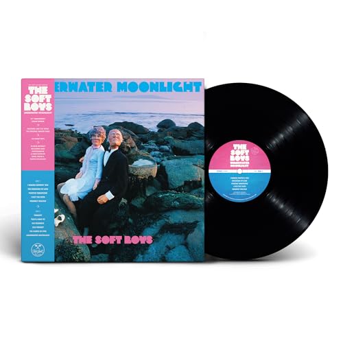 Vinyl record and cover of The Soft Boys’ “Underwater Moonlight.”