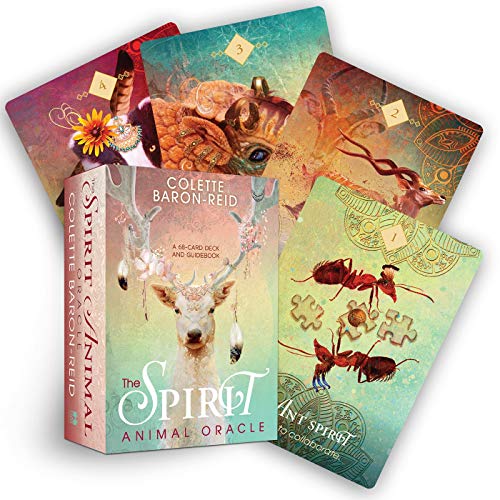 The Spirit Animal Oracle box set surrounded by four illustrated animal oracle cards.
