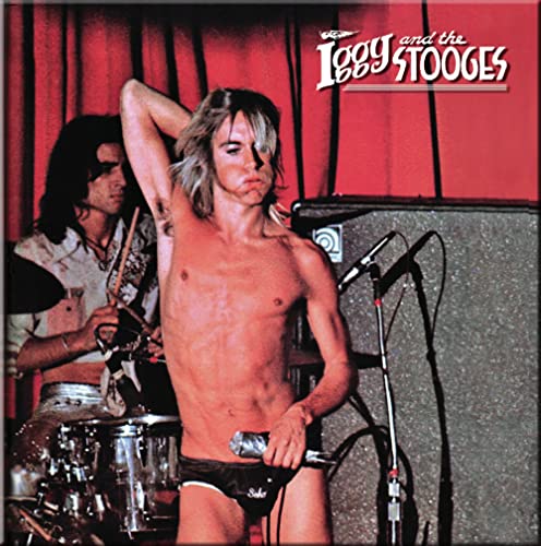 Iggy Pop onstage with The Stooges, shirtless, performing with instruments.