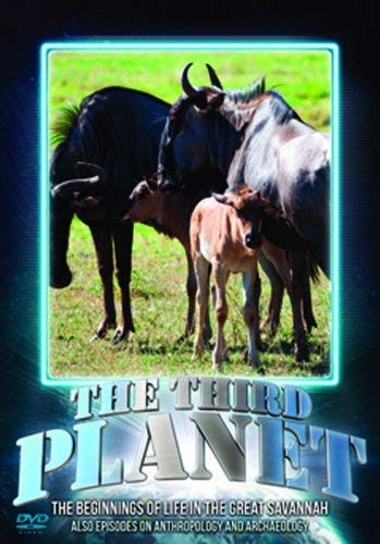 DVD cover featuring wildebeest family in a grassy savannah landscape.