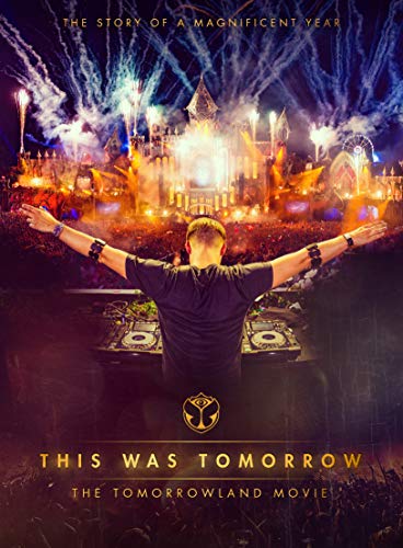 DJ at Tomorrowland festival with fireworks and a castle backdrop.