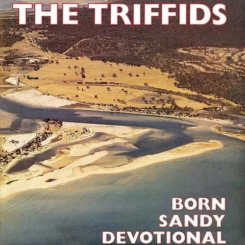 The Triffids album cover: aerial view of a coastal landscape.