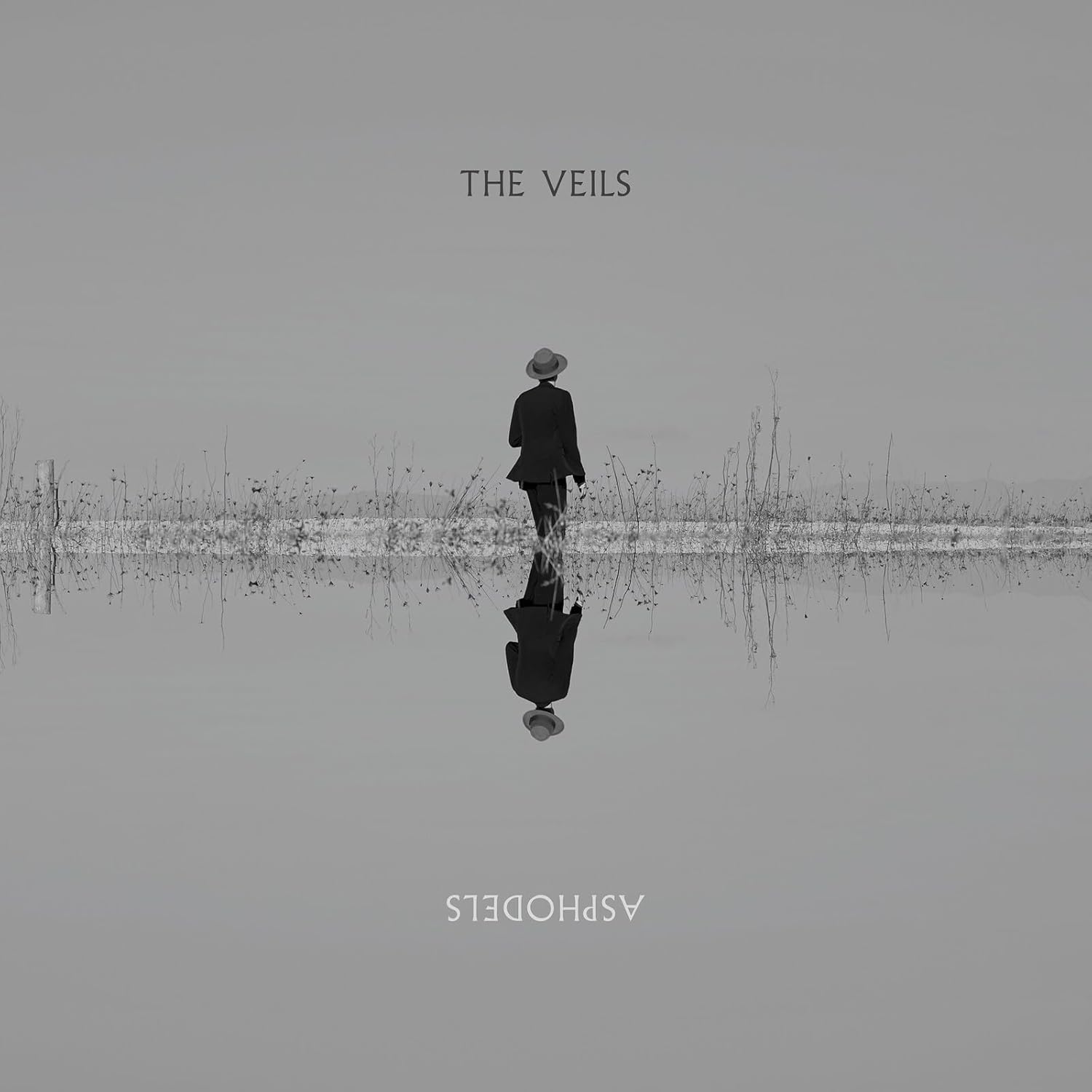 A person in a hat and suit walking, reflected in water, with symmetrical text.