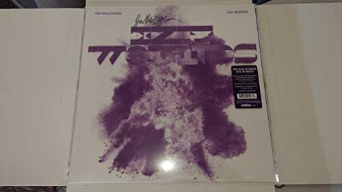 The Wallflowers’ “Exit Wounds” vinyl record in a clear plastic sleeve.
