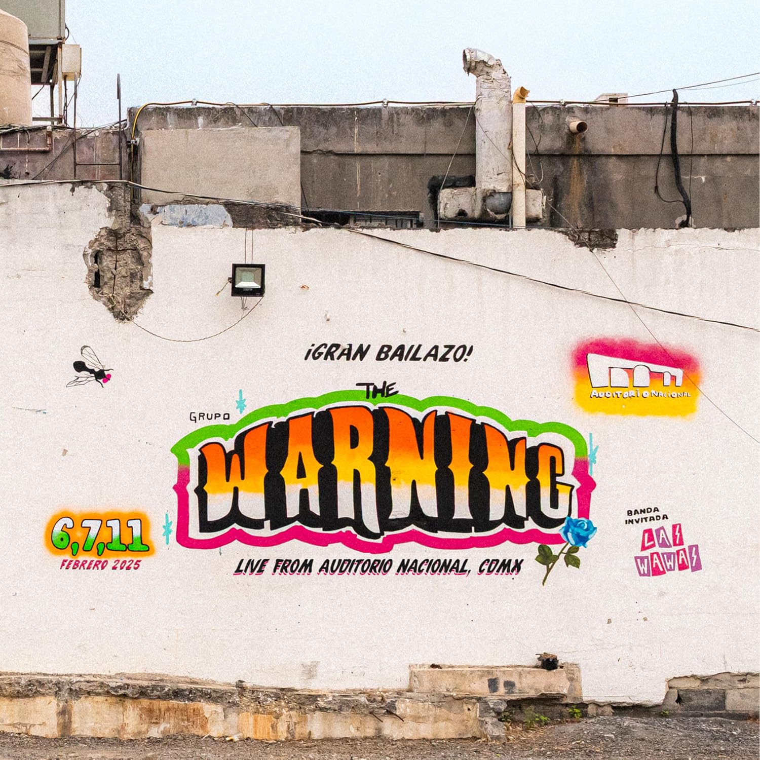CD case cover featuring a weathered concrete wall with graffiti-style text for The Warning.