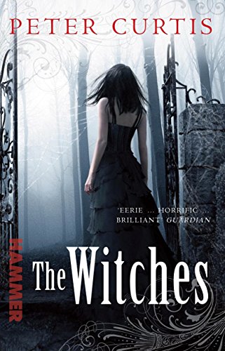 Book cover: woman in black dress facing a misty, wrought-iron gate.