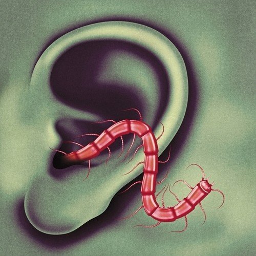 Album cover: an ear with a red centipede emerging from the canal.