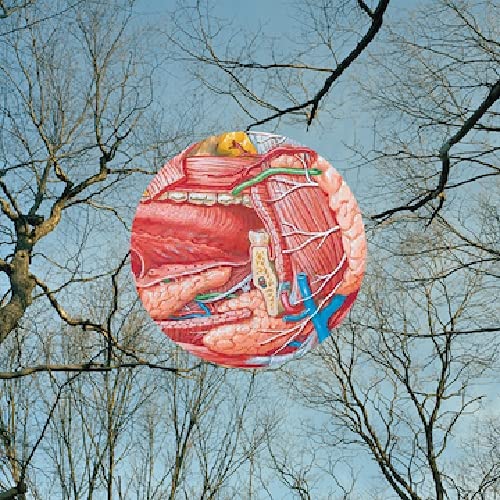 A circular anatomical diagram of a human throat set against bare tree branches.