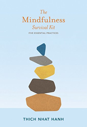 Book cover with stacked stones and title “The Mindfulness Survival Kit.”