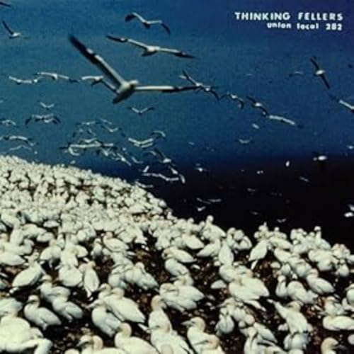 Album cover with many birds in flight over a large flock on land.