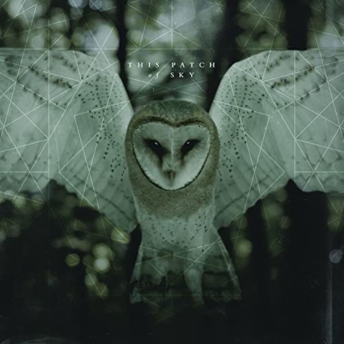 Barn owl with spread wings against a geometric, dark background.