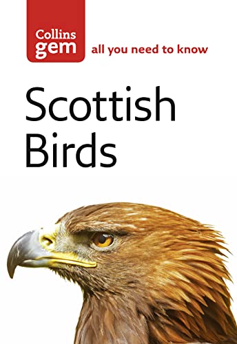 Cover of the book Scottish Birds featuring a close-up of a golden eagle.