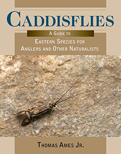 Book cover featuring a Caddisflies guide with an insect on stone.