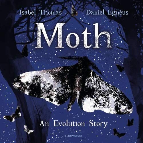 Book cover: dark blue, moths, and the title "Moth: An Evolution Story".