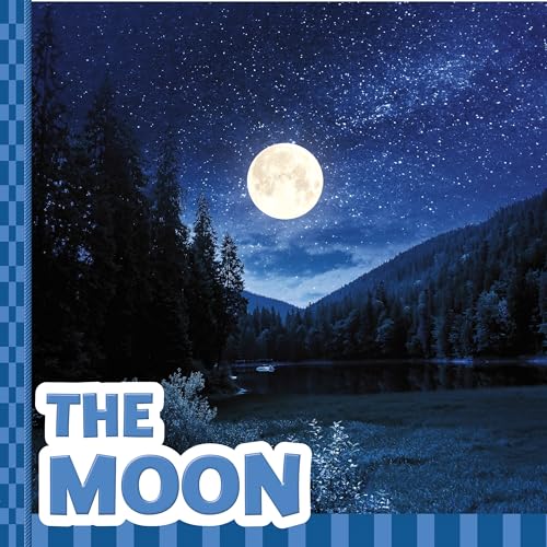 Night landscape with a full moon over trees and a lake.