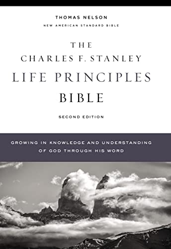 Brown leather Bible cover with title and mountain landscape image.