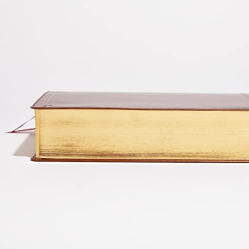 Brown leathersoft Bible with gold-edged pages, shown from the side.