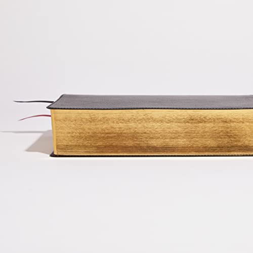 Black bonded leather Bible with gold-gilded page edges and two thin ribbon bookmarks.