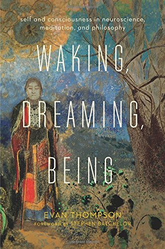 Book cover featuring a monk in traditional robes standing in a textured, impressionistic landscape.