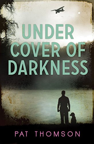 Book cover: silhouetted figures by water, plane in cloudy sky.