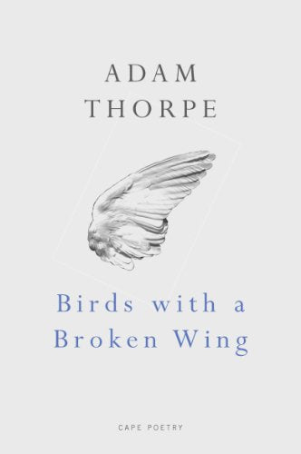 Book cover: a sketched bird wing above the title "Birds with a Broken Wing".