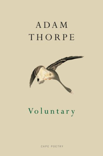 Book cover: "Voluntary" by Adam Thorpe, featuring a bird in flight.