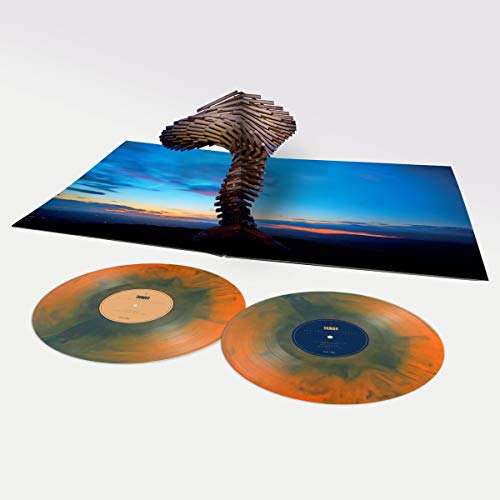 Colour vinyl records and album cover with a tree-like sculpture.