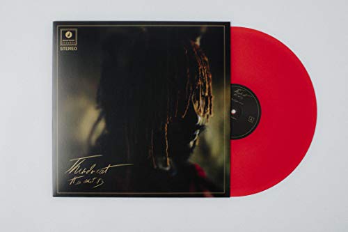 Red vinyl LP of Thundercat’s “It Is What It Is” with cover art.