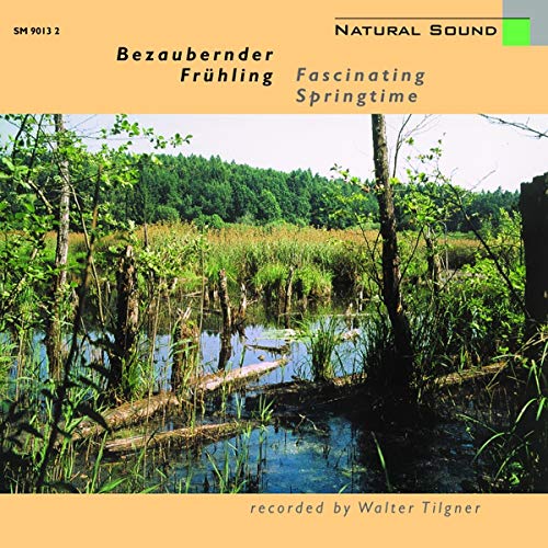 CD cover with a marsh landscape, trees, and text in German and English.